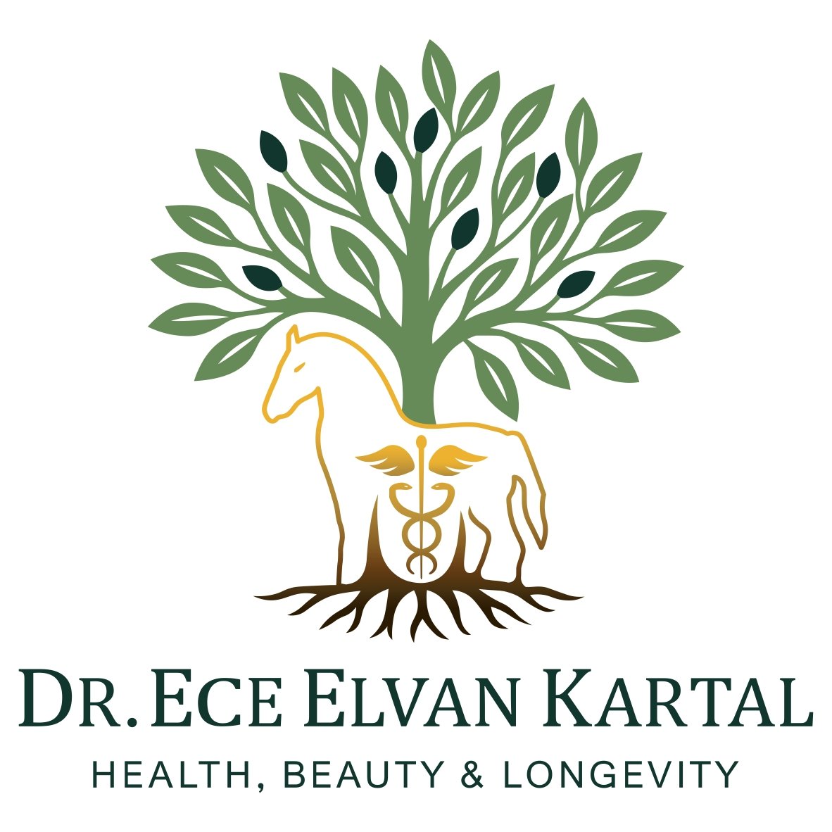 DR. ECE ELVAN KARTAL APAYDIN